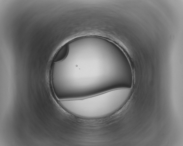 X0000112501500200908171001