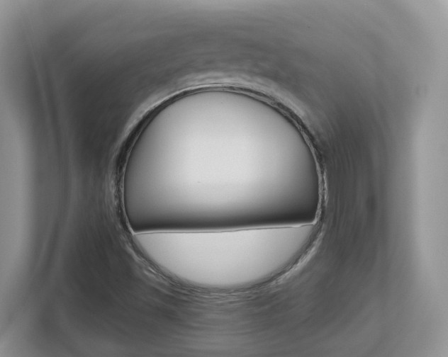 X0000112501501200908171001