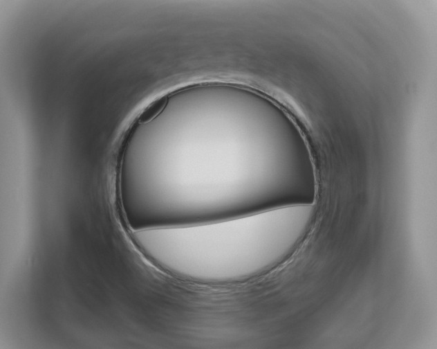 X0000112501504200908171001