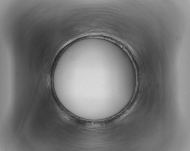 X0000112501505200908171001