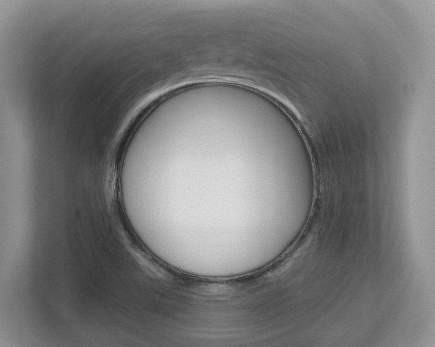 X0000112501507200908171001
