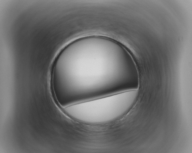 X0000112501508200908171001