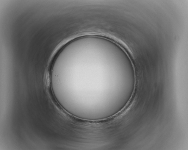 X0000112501509200908171001