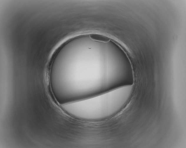 X0000112501510200908171001