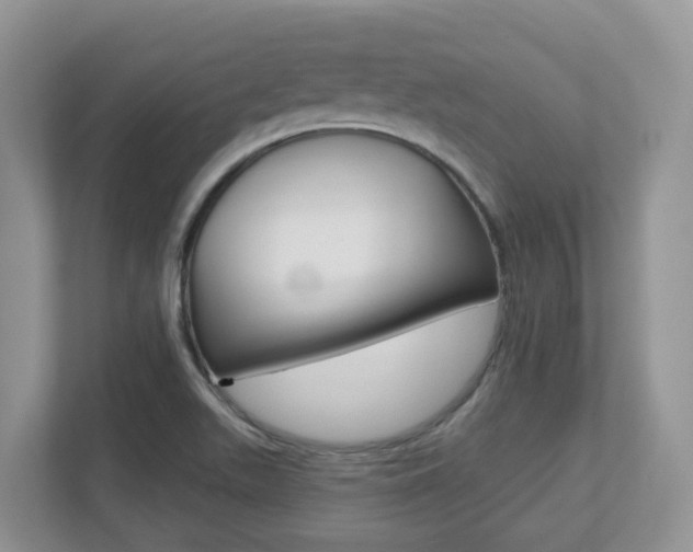 X0000112501511200908171001