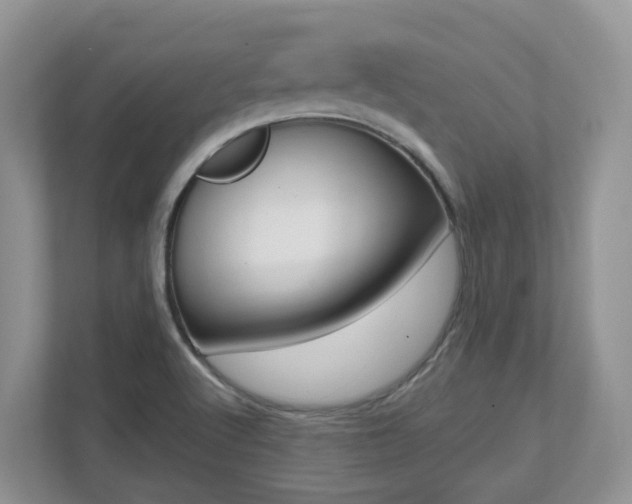 X0000112501512200908171001