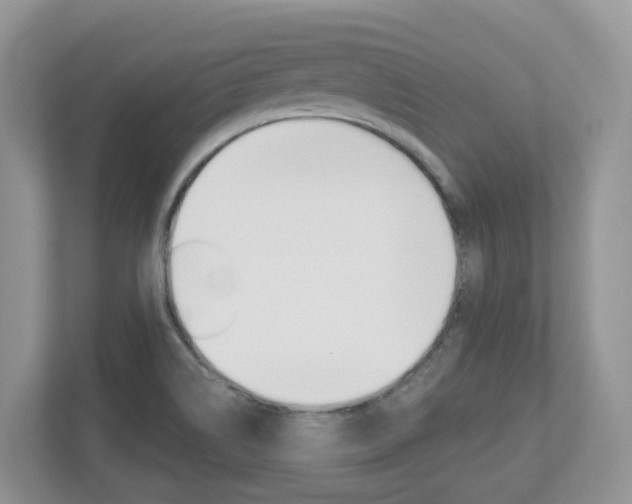 X0000112501514200908171001