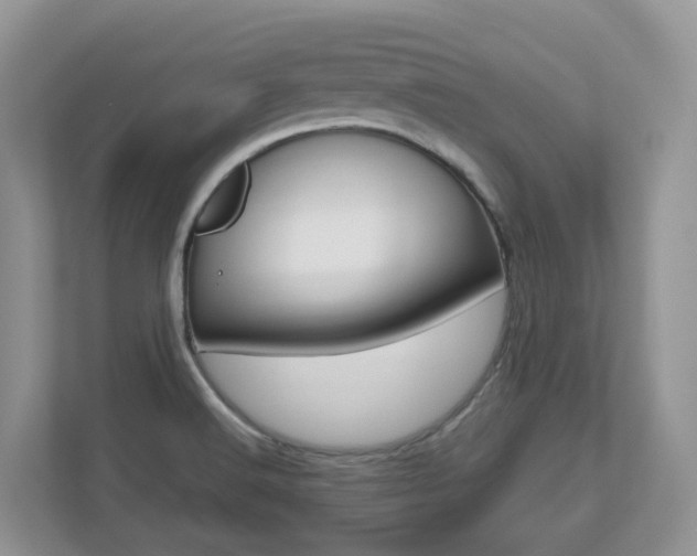 X0000112501516200908171001