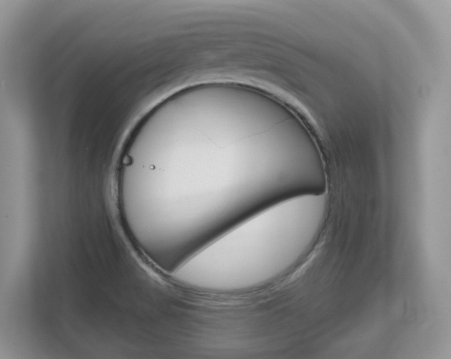 X0000112501517200908171001
