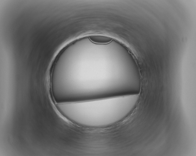X0000112501519200908171001