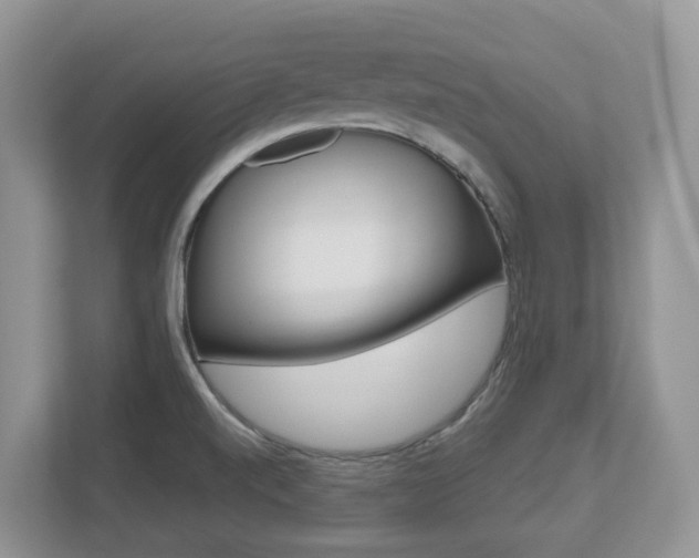 X0000112501520200908171001