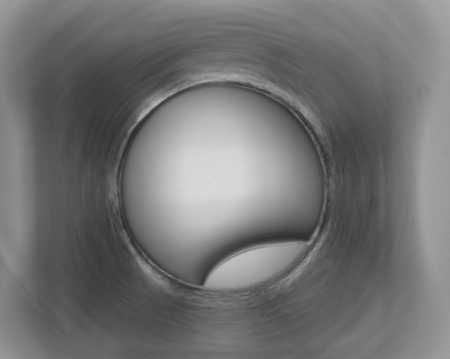 X0000112501521200908171001