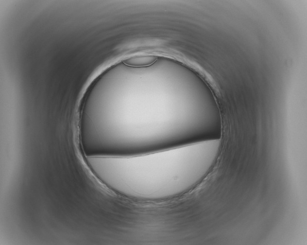 X0000112501522200908171001