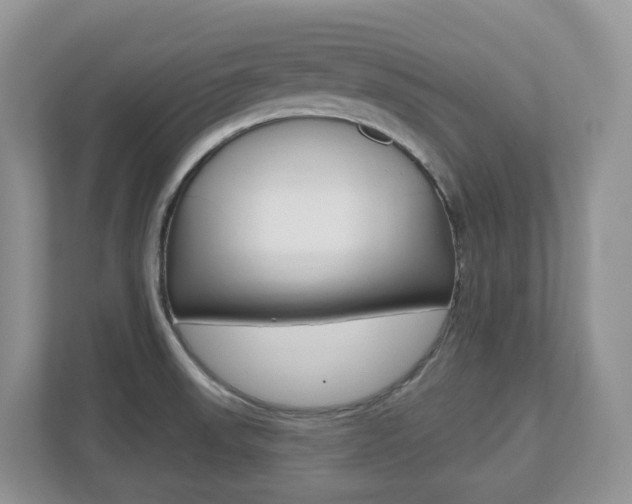 X0000112501523200908171001