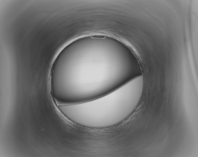 X0000112501524200908171001