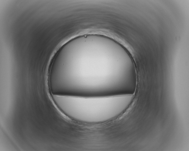X0000112501525200908171001