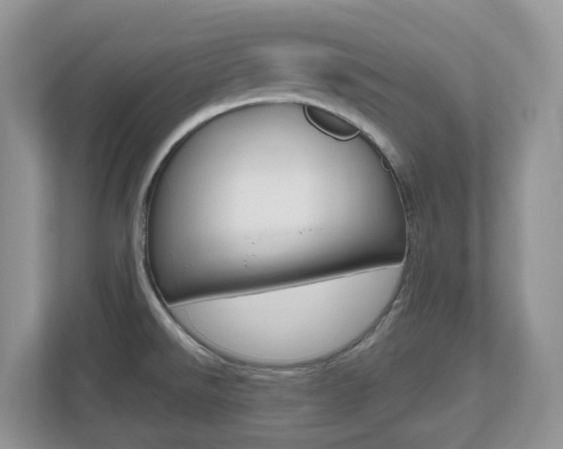 X0000112501526200908171001