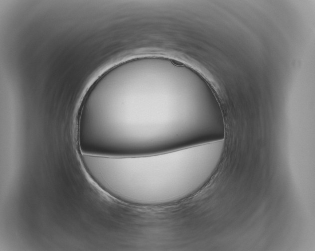 X0000112501527200908171001