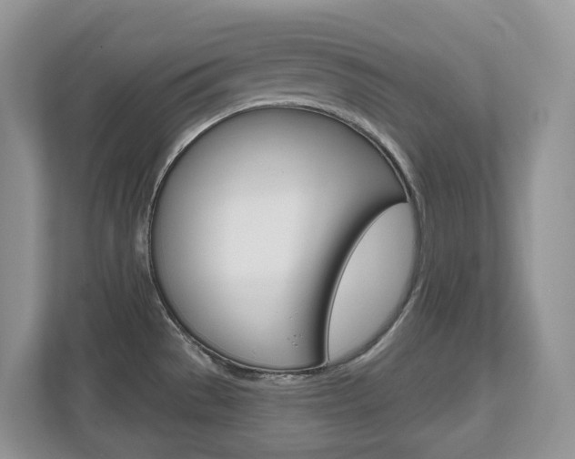 X0000112501529200908171001