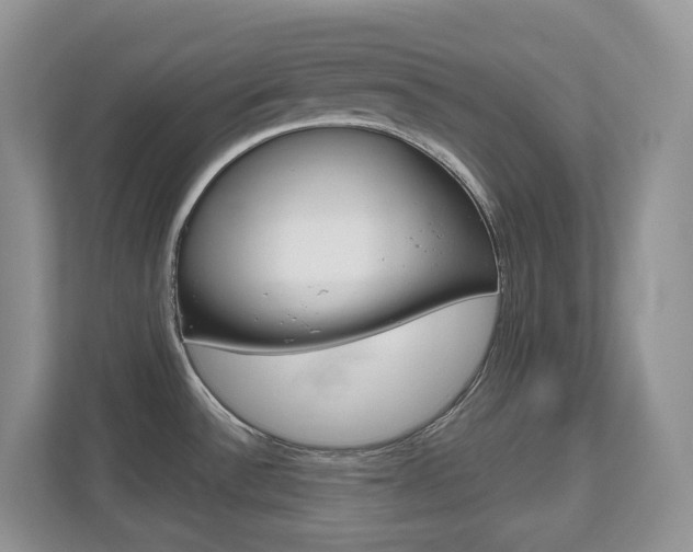 X0000112501532200908171001