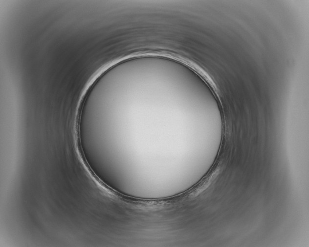 X0000112501533200908171001