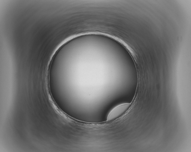 X0000112501534200908171001