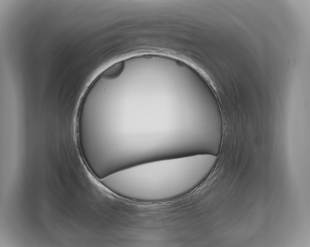 X0000112501535200908171001