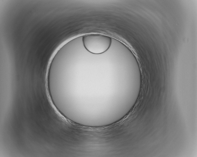 X0000112501536200908171001