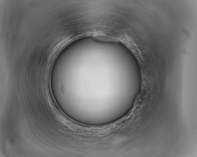 X0000112500001200908171320