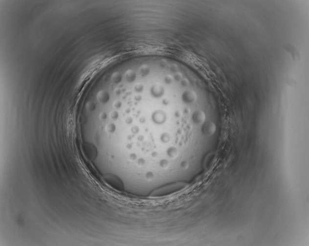 X0000112500002200908171320