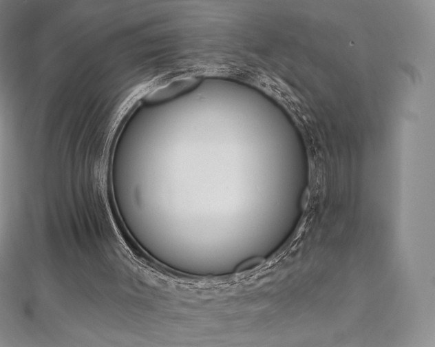 X0000112500003200908171319