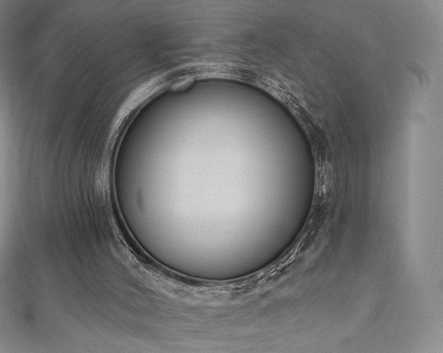 X0000112500004200908171319