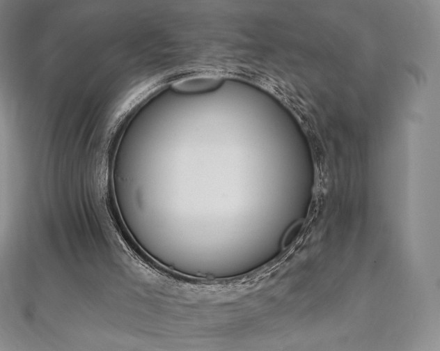 X0000112500005200908171319