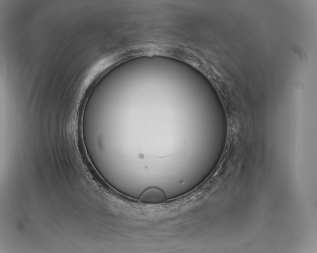 X0000112500006200908171319