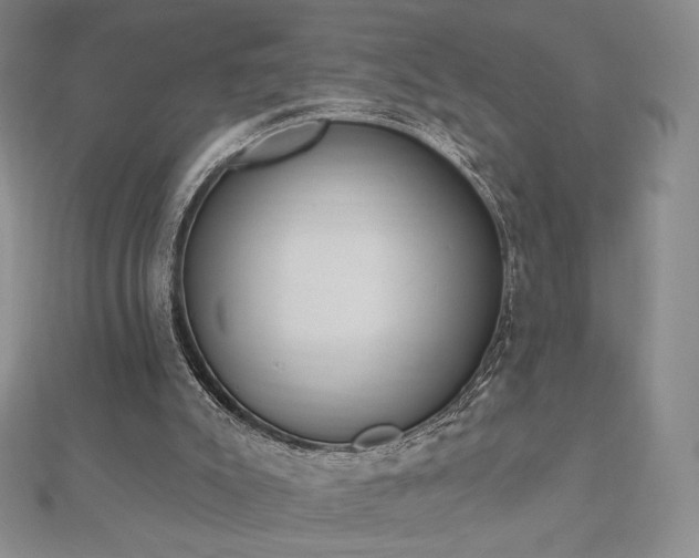 X0000112500007200908171319