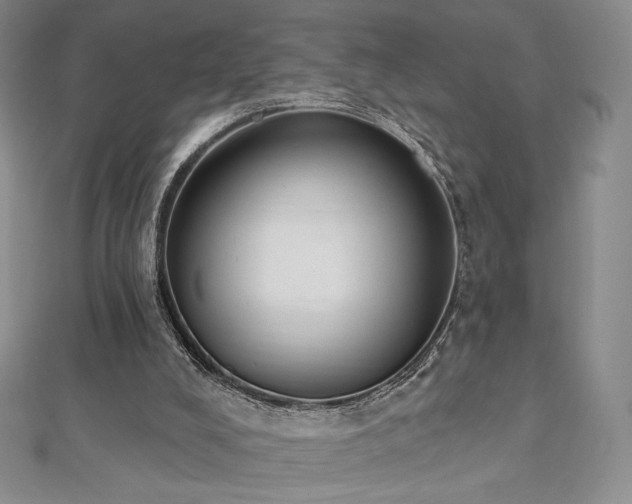 X0000112500008200908171319