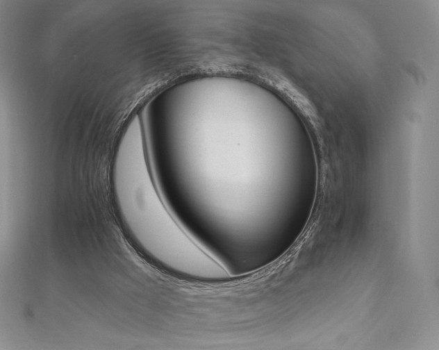 X0000112500009200908171319