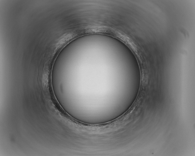 X0000112500010200908171319