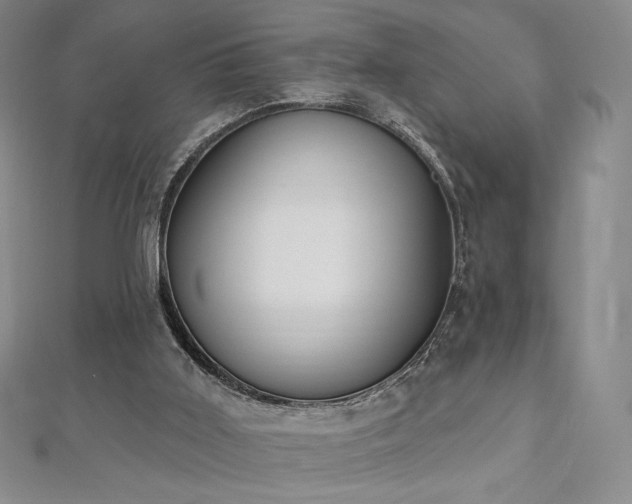 X0000112500011200908171319