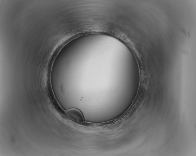 X0000112500012200908171319