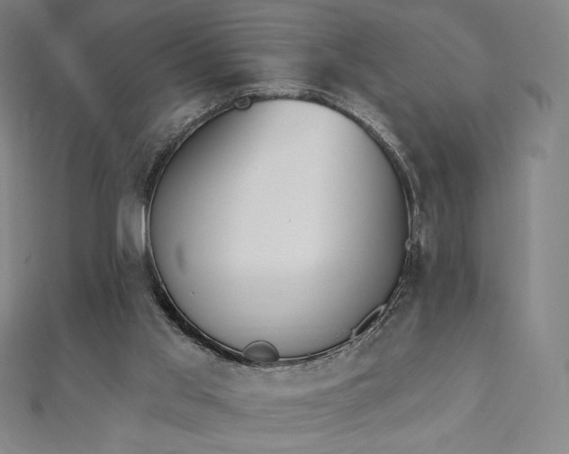 X0000112500013200908171319