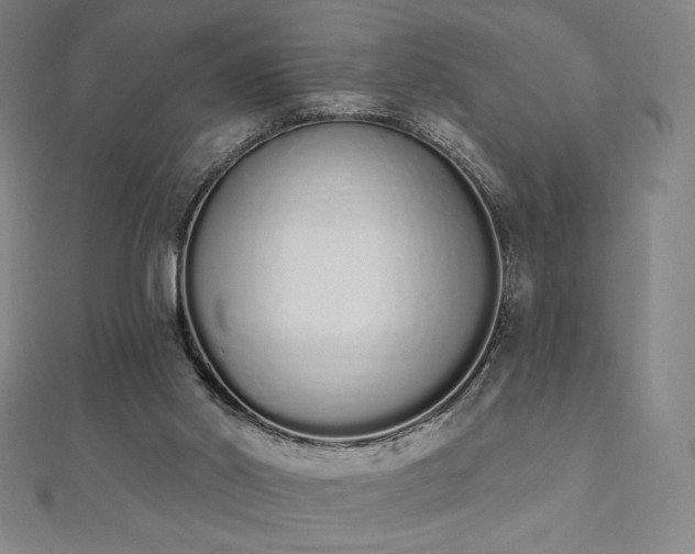 X0000112500014200908171319