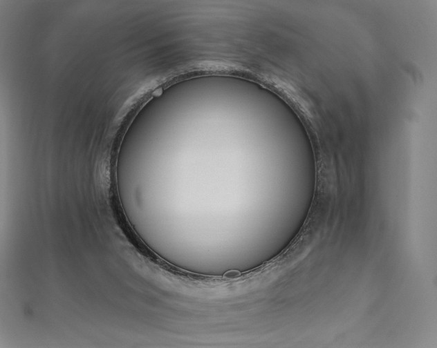 X0000112500015200908171319