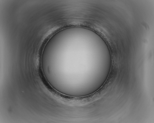 X0000112500016200908171319