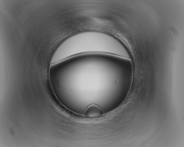 X0000112500017200908171319