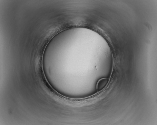 X0000112500018200908171319