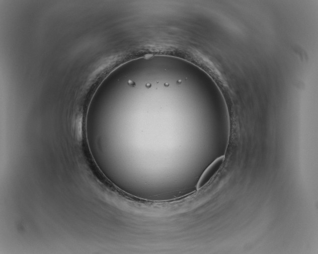 X0000112500019200908171319