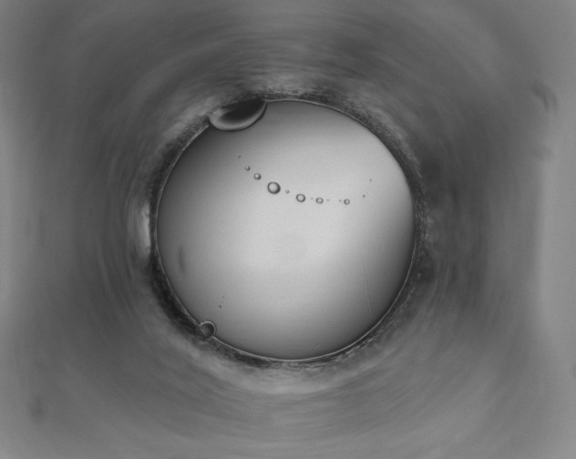 X0000112500020200908171319