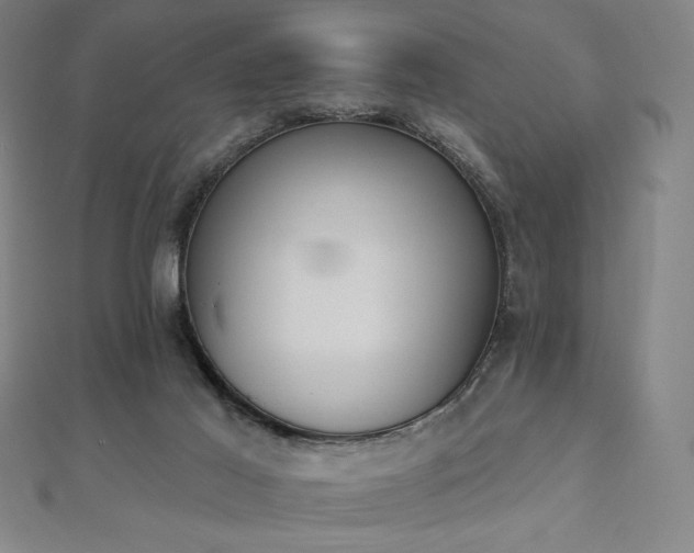 X0000112500021200908171319