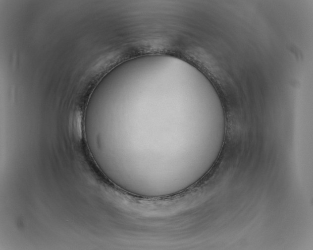 X0000112500022200908171319